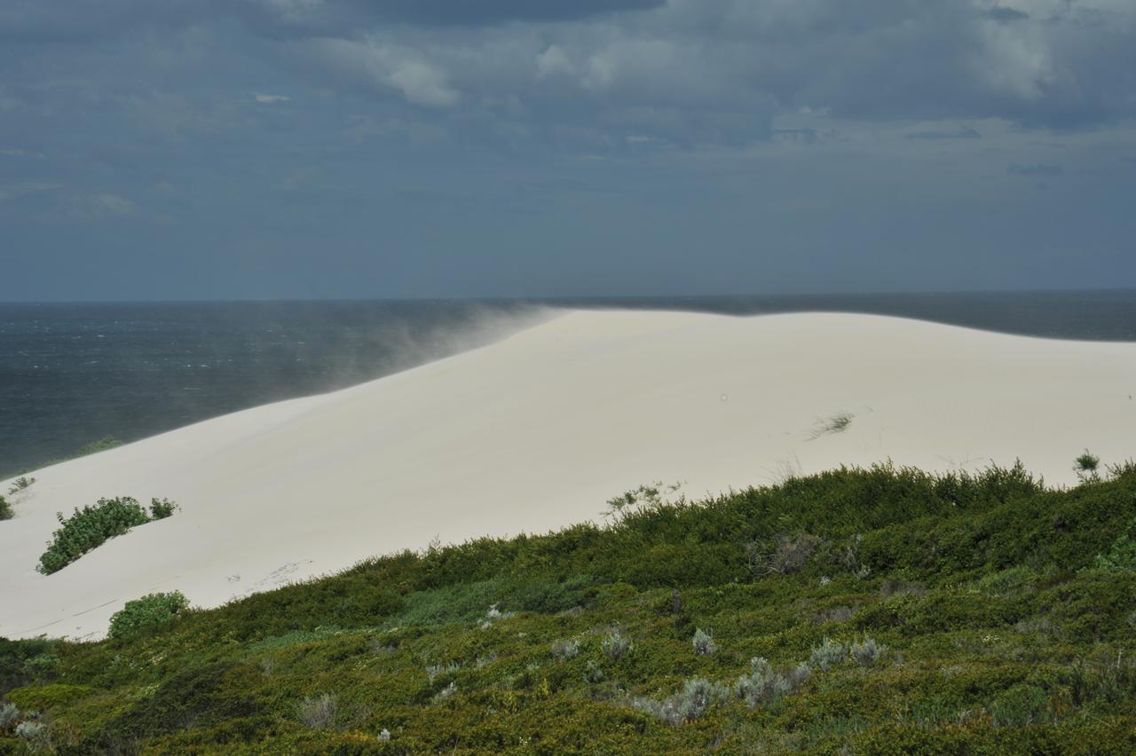 De Hoop Collection Suites De Hoop Nature Reserve Eksteriør bilde