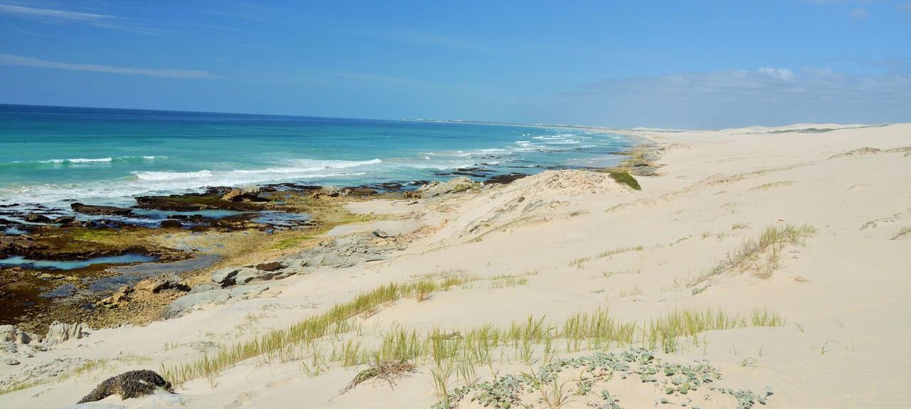 De Hoop Collection Suites De Hoop Nature Reserve Eksteriør bilde