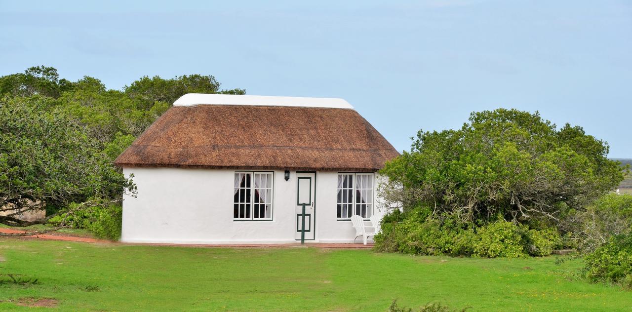 De Hoop Collection Suites De Hoop Nature Reserve Eksteriør bilde